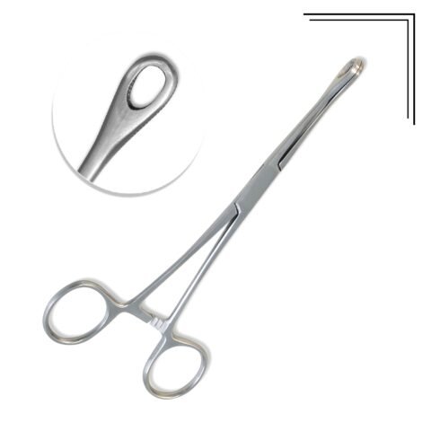 Sponge Forceps