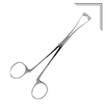 Septum Forceps