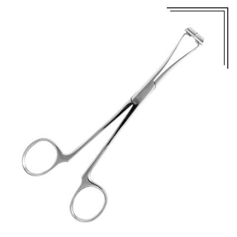 Septum Forceps