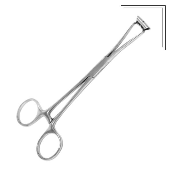 Septum Forceps