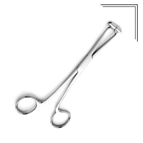 Septum Forceps