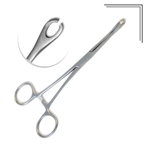 Sponge Forceps