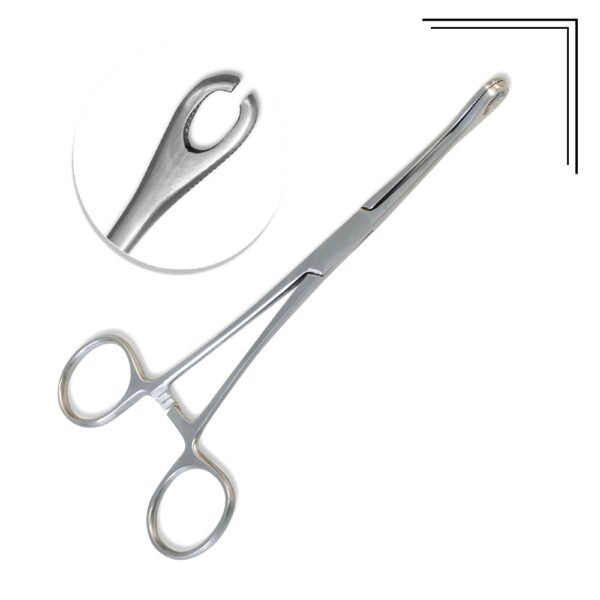 Sponge Forceps