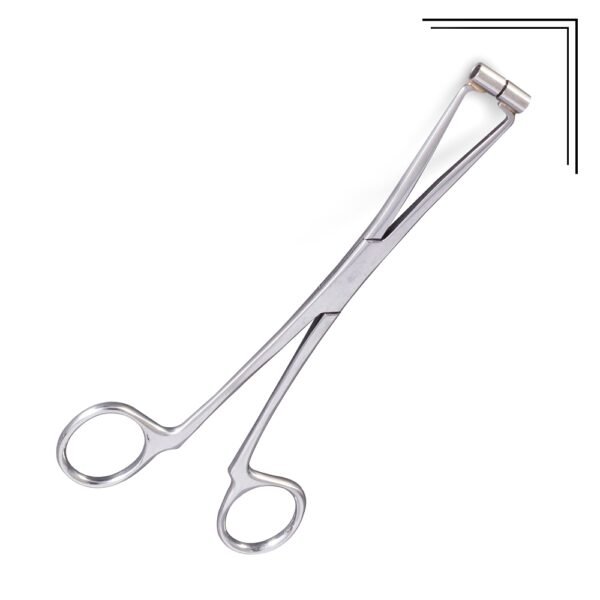 Septum Forceps