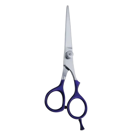 Professional Hair Cutting Scissors