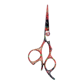 Professional Hair Cutting Scissors