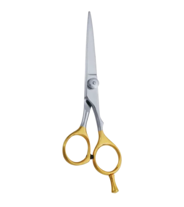 Professional Hair Cutting Scissors