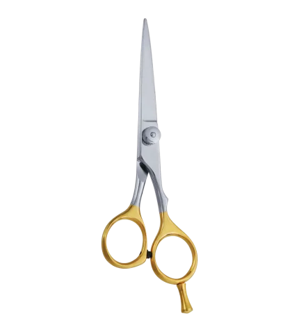 Professional Hair Cutting Scissors