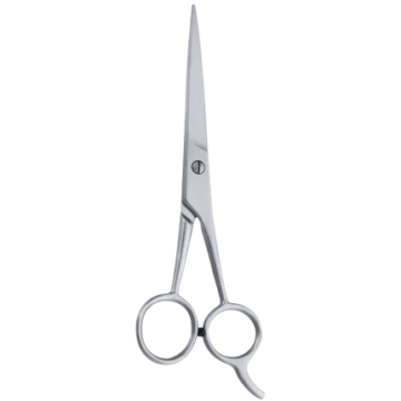 Professional 6.5 Inch Barber & Hair Cutting Scissor