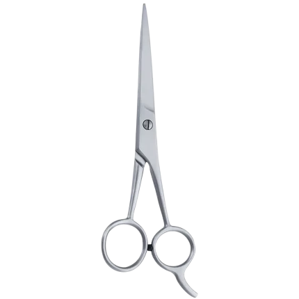 Professional 6.5 Inch Barber & Hair Cutting Scissor